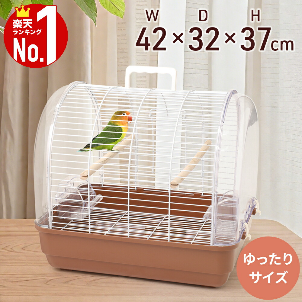 楽天市場】【25人に1人当たる☆全品半額のチャンス！19日20時〜20日迄