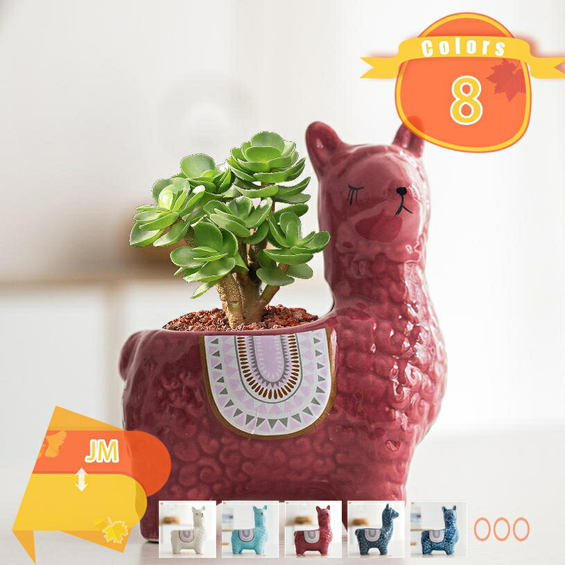 1000円OFFクーポン 植木鉢 陶器鉢 プランター 5号 受け皿付き 穴付き 白 おしゃれ 鉢 鉢植え インテリア 屋内 屋外 8号鉢 陶器鉢 鉢の底に排水穴付き おしゃれ 鉢植え インテリア 部屋 オフィス 室内 飾り 観葉植物 プレゼント用プラント fascimo｜FASCIMO