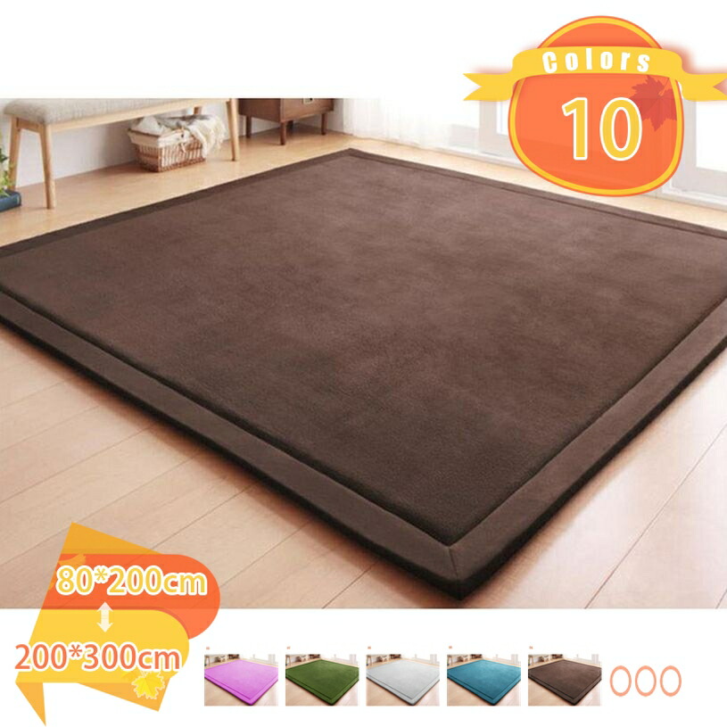 500円OFFクーポン 2.5cm ラグ 洗える 2畳 4畳 ラグマット サラふわ カーペット リビング 無地 絨毯 北欧 おしゃれ じゅうたん かわいい シャギーラグ 洗えるカーペット 洗濯 長方形 折り畳み ヨガ 耐摩耗性 極厚 厚さ冷房対応 防ダニ タタミ用 fascimo