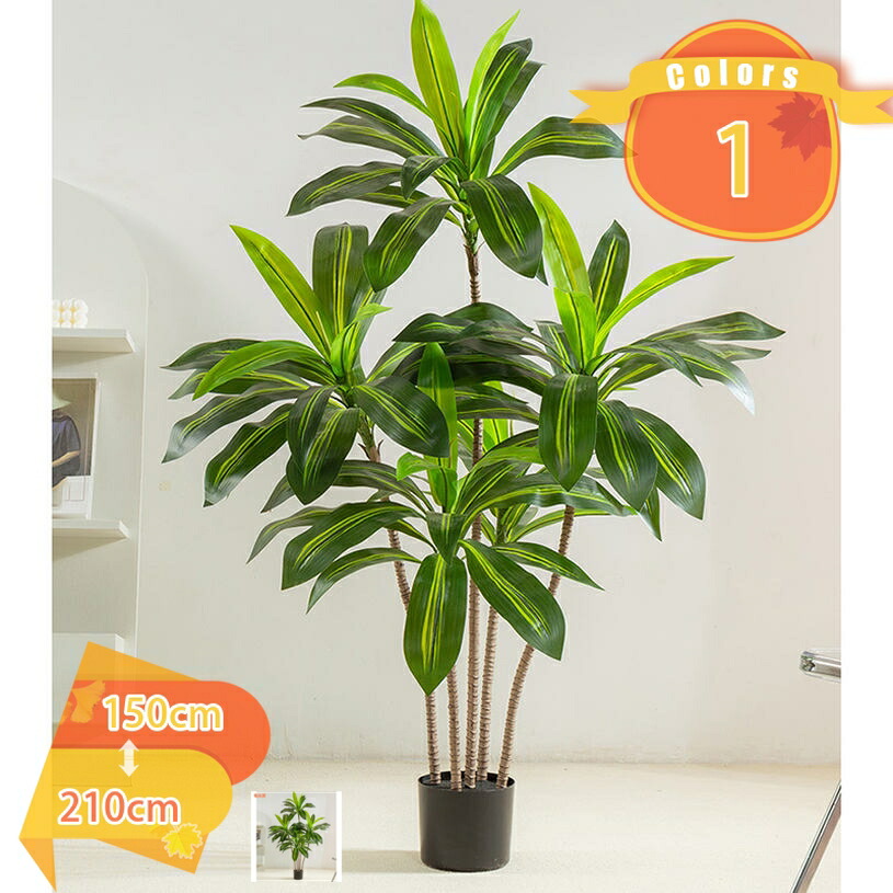 1000円OFFクーポン券 観葉草木 まがい物 人工緑であること 褒めたたえる用 大型 本当の 執務室 室内装飾 室内 かざり付ける 営造祝賀会 水やり不必要 枯れない お取りつくろう飾り気の無い フェイクグリーン 今めかしい 人工あずま屋 造樹 常緑樹 エントランス状態 バス発着場 話し合い室 勤務場所 fascimo
