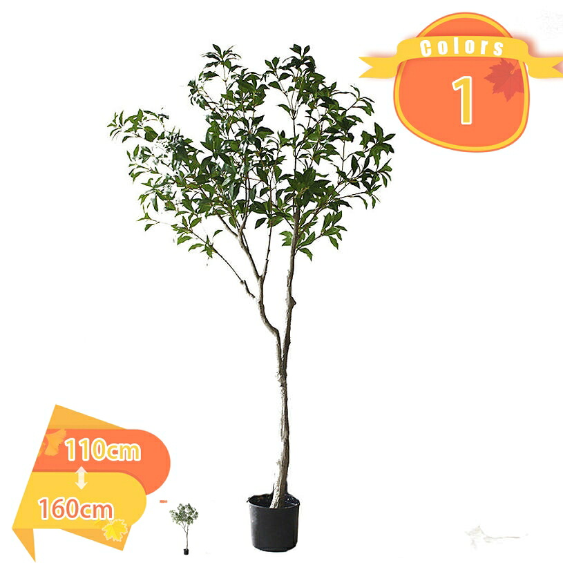 1000円OFFクーポン フェイクグリーン リアル 鉢付き 人工観葉植物 フェイク 人工観覧植物 シンプル 室内 おしゃれ 水やり不要 インテリア 玄関 リビング 玄関 開店祝い 新築祝い 引越し祝い 枯れない 人工観葉樹 盆栽植物 鉢植え 人工観葉植物 fascimo|FASCIMO