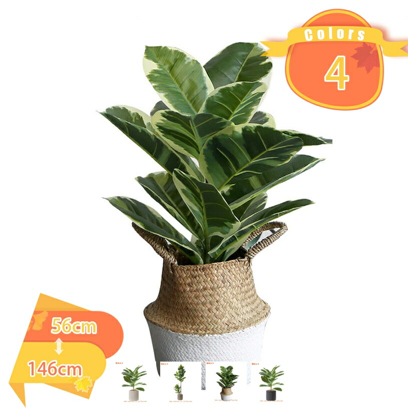 人工観葉植物 鉢植え 人工植物 インテリア 観葉植物 鉢植えの植物 世話いらず 水やり不要 フェイクグリーン 鉢付き オフィス ホーム デコレーション シンプル 室内 おしゃれ お祝い 父の日 観覧植物 本物そっくり 人工観葉樹 fascimo