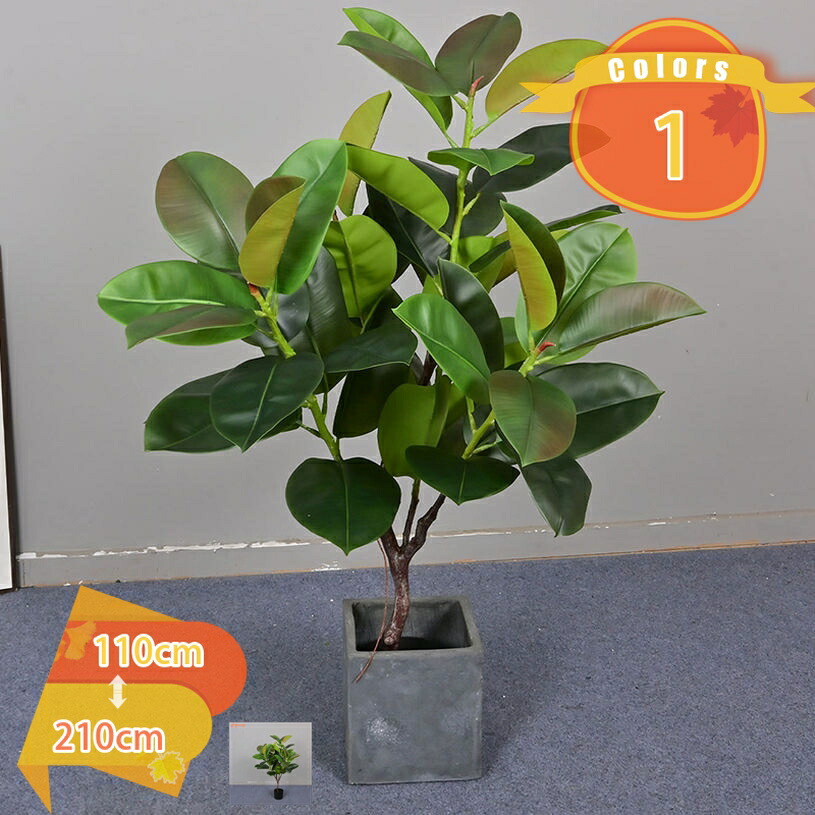 売れ筋 M6RU6IDA5YS [M6RU6IDA5YS]