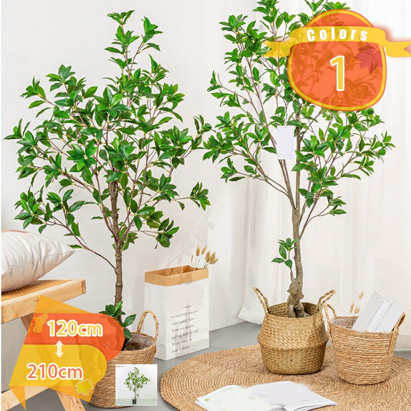 2000円OFFクーポン 人工観葉植物 インテリア 家の中に置く フェイクグリーン リアルな質感 観葉植物 鮮やかな色彩 造花 馬酔木 アセビ ツリー グリーン装飾 お手入れ不要 大型 おしゃれ 盆栽 鉢植え オフィス 部屋 玄関 キッチン 飾り プレゼント用 fascimo|FASCIMO