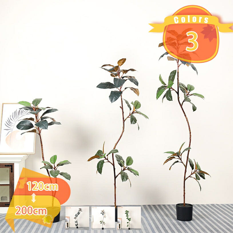 2000円OFFクーポン ゴムの木 フェイクグリーン 大型 人工観葉植物 人工観葉樹 造花 常緑樹 人工植物 人工樹木 盆栽 インテリアグリーン 鉢植 室内室外用 抗菌 防臭 フェイクフラワー オフィス 開店祝い お手入れ簡単 水やり不要 虫害の心配なし fascimo|FASCIMO