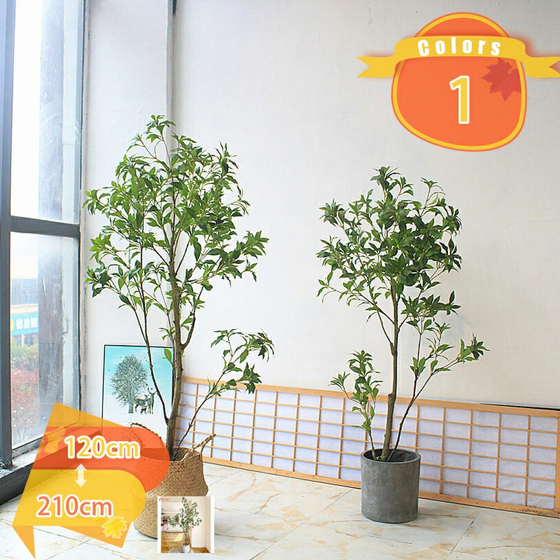 1000円OFFクーポン フェイクグリーン 観葉植物 アセビ 馬酔木 大型 鉢植え 水やり不要 虫害の心配なし 本物そっくり 人工観葉植物 大きい お祝い リアル 造花 インテリア リビング 人工樹木 オシャレ 北欧 消臭 抗菌 開店祝い 開業祝い 新築祝い fascimo｜FASCIMO