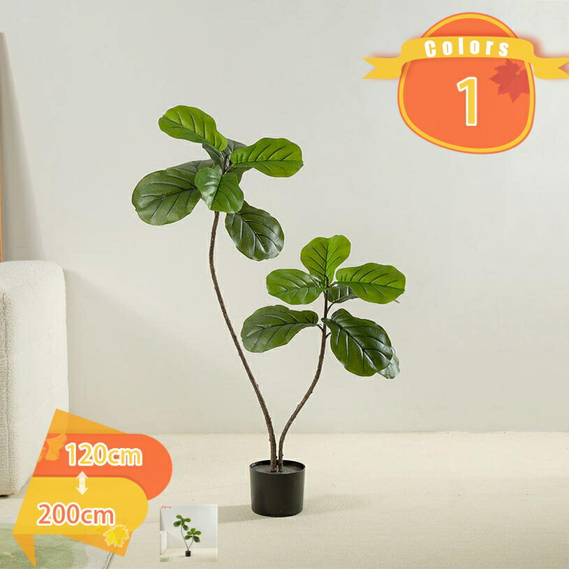 500円OFFクーポン ウンベラータ 人工観葉植物 フラワー 造花 観葉樹 フェイクグリーン 大型 幸福の木 フェイク植物 店舗 エントランス 会議室 オフィス ホテル ルーム 開業祝い 開店祝い 引越し祝い 風水 プレゼント ギフト 人工樹木 盆栽 室内 室外用 fascimo 11,176円