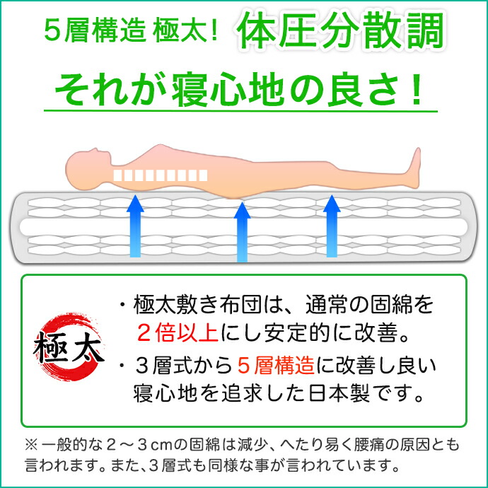 【日本製】【送料無料】6点セットダブルD11880円帝人テイジンダニ防制菌抗菌防臭ニオイ対策吸汗速乾弾力性ほこりが出にくいアレルギー対策掛け敷き布団セットダブル掛布団敷布団枕セット布団組布団極厚極太増量【国産】