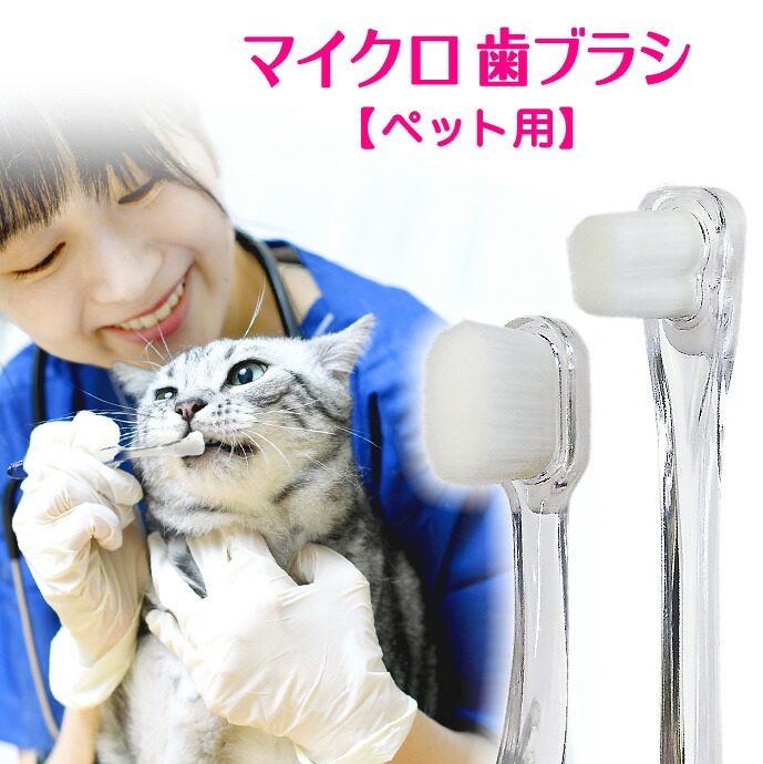 犬用 猫用 歯ブラシ 歯磨き ラウンド型 中型犬 大型犬 歯のクリーニング 4