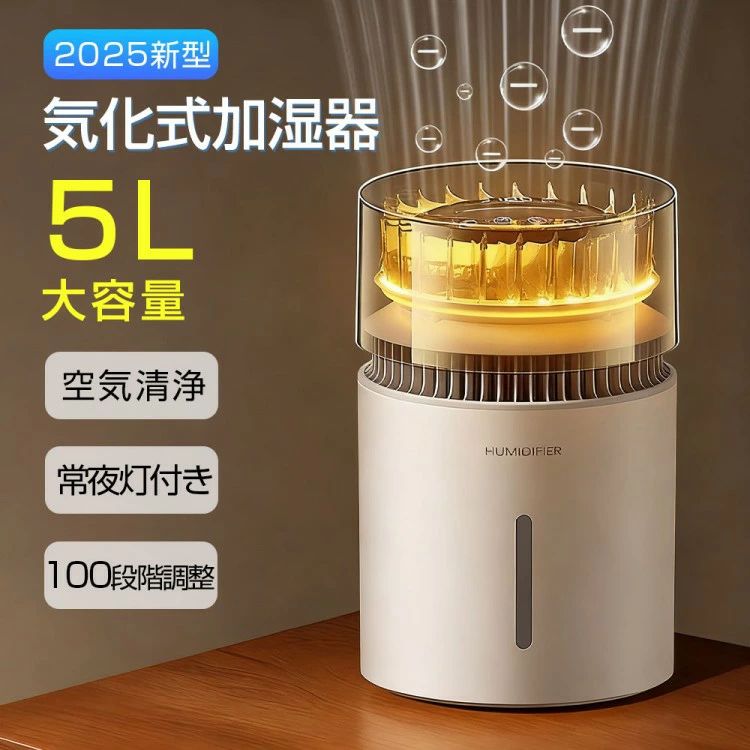 蓋水 超静音 身寄り用 今めかしい タイマー付き添い人 5L 省エネ 3重除菌 リビング 節電 お取りつくろう飾り気の無い 大静電容量 湿度さがし当てる 濾過性病原体打つ手