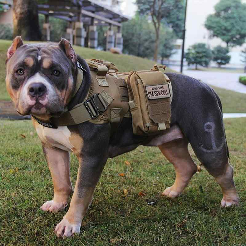 ドッグウェア 中型犬 より良い 大型犬用 形づくる 黒いこと 車寄せ付き添い人 アウトドア 馬具 運動競技 ポリエステ