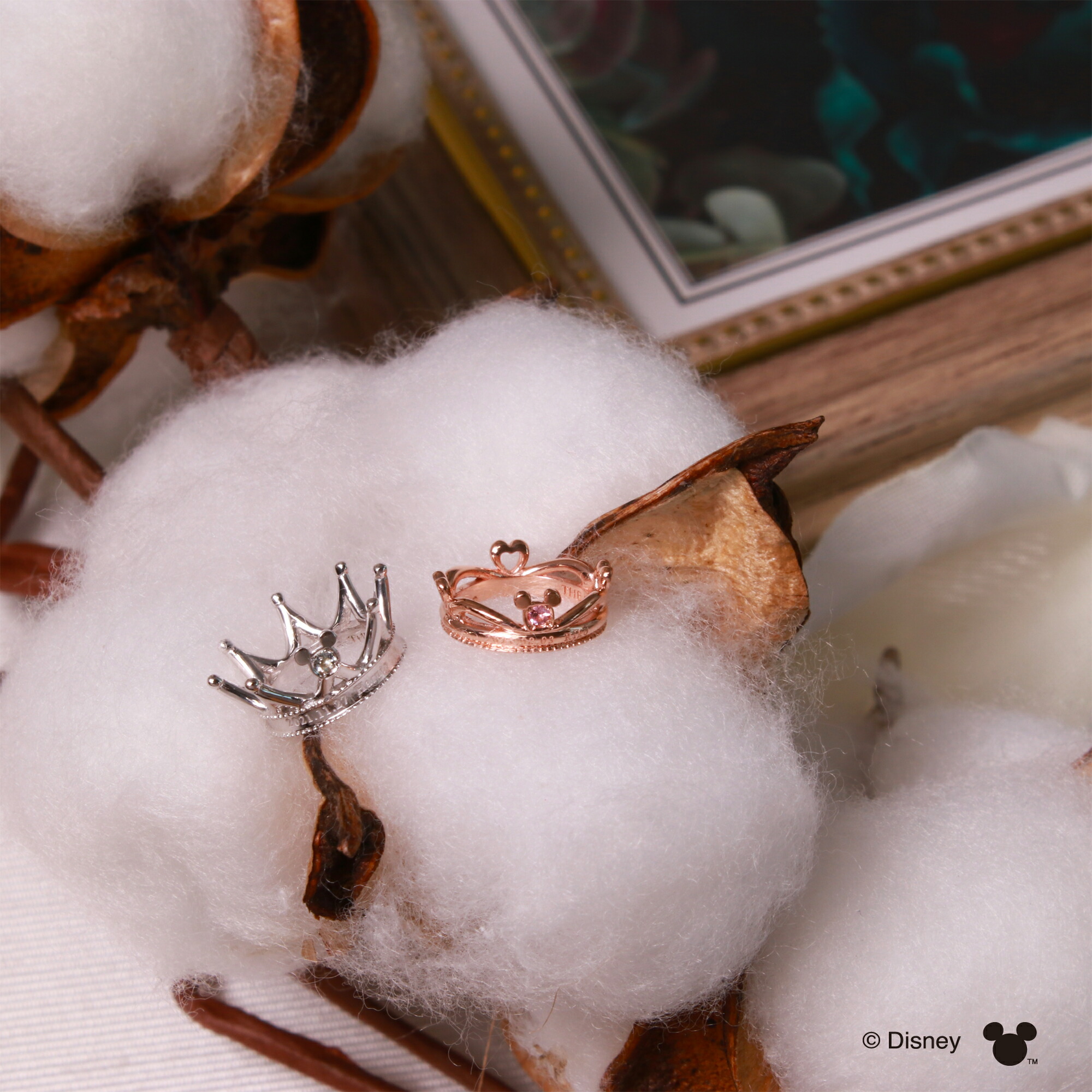 肌触りがいい ディズニー ベビーリング 隠れミッキーマウス The Kiss ネックレス ペンダントトップ プラチナ 誕生石 出産記念 出産祝い 誕生祝い お名前 誕生日 体重 内祝い Di Bach0451 Pt ザキス 夏 浴衣 Fucoa Cl