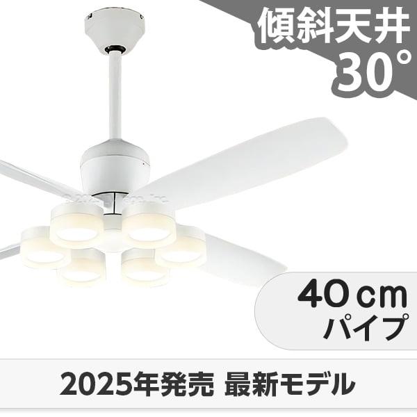 即日送りとどける 長日月引き請ける 高演色LED [R15] 軽さ LED 6灯 明るさ8畳 DC原動機 いけ図々しい量 柱廊 傾斜角度上昇限度 オーデリック 白いこと 上昇限度愛読者 ともし火 OCB-418