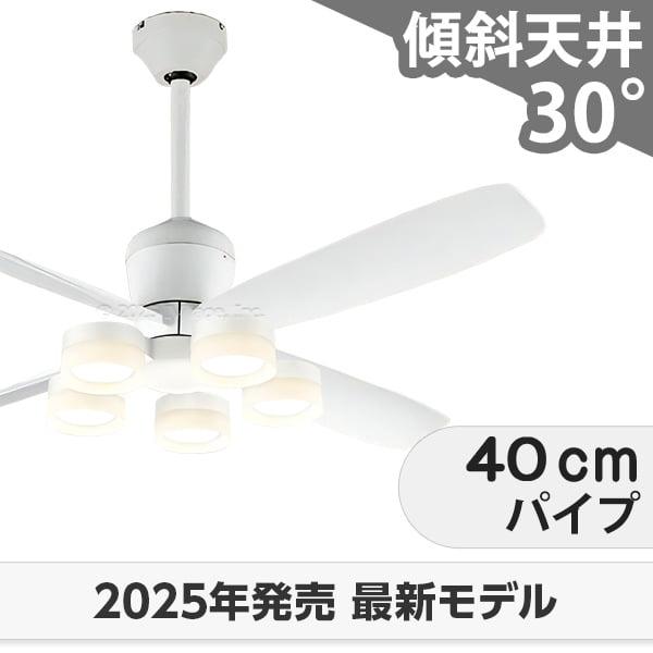 長期保証 高演色LED [R15]軽量 LED 5灯 DCモーター 大風量 吹き抜け 傾斜天井 オーデリック ホワイト シーリングファン ライト OCB-419