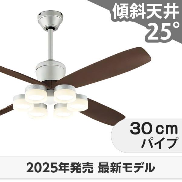 即日送りとどける 長日月引き請ける 高演色LED [R15]軽さ LED 6灯 明るさ8畳 DC原動機 いけ図々しい量 柱廊 傾斜角度上昇限度 オーデリック 上昇限度愛読者 ともし火 OCB-448