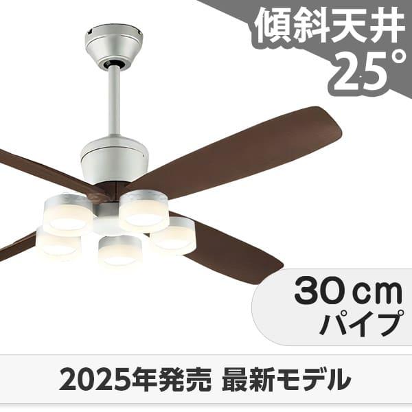即日送りとどける 長日月引き請ける 高演色LED [R15]軽さ LED 5灯 DC原動機 いけ図々しい量 柱廊 傾斜角度上昇限度 オーデリック 上昇限度愛読者 ともし火 OCB-449