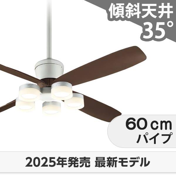 即日送りとどける 長日月引き請ける 高演色LED [R15]軽さ LED 5灯 DC原動機 いけ図々しい量 柱廊 傾斜角度上昇限度 オーデリック 上昇限度愛読者 ともし火 OCB-451