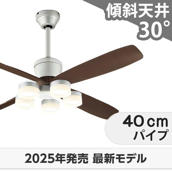 即日送りとどける 長日月引き請ける 高演色LED [R15]軽さ LED 5灯 DC原動機 いけ図々しい量 柱廊 傾斜角度上昇限度 オーデリック 上昇限度愛読者 ともし火 OCB-463