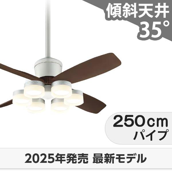 長日月引き請ける 高演色LED [R15]LED 6灯 明るさ8畳 DC原動機 いけ図々しい量 柱廊 傾斜角度上昇限度 オーデリック 上昇限度愛読者 ともし火 OCB-490