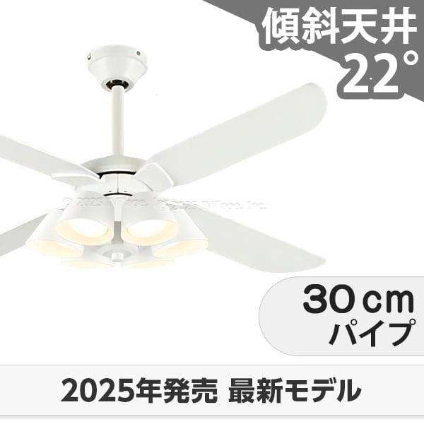 長日月引きうける 高演色LED [R15] 軽さ LED 6灯 明るさ8畳 柱廊 傾斜角度上昇限度 オーデリック 白いこと 最高限度気違い 点火装置 ODB-546