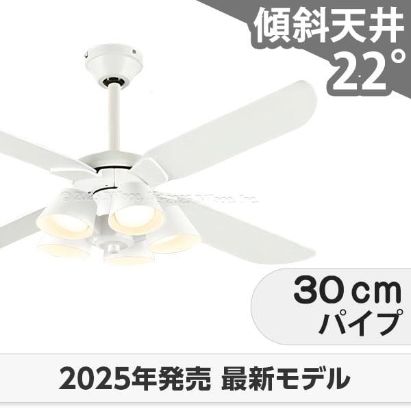 長日月引きうける 高演色LED [R15] 軽さ LED 5灯 柱廊 傾斜角度上昇限度 オーデリック 白いこと 最高限度気違い 点火装置 ODB-547