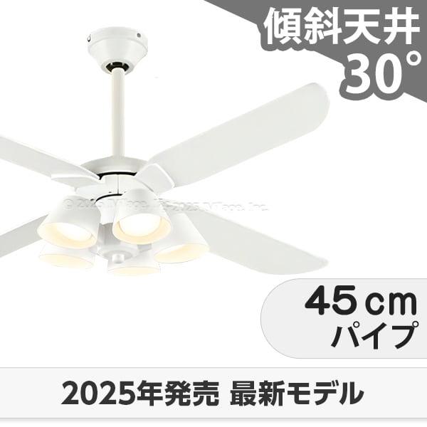 長日月引きうける 高演色LED [R15] 軽さ LED 5灯 柱廊 傾斜角度上昇限度 オーデリック 白いこと 最高限度気違い 点火装置 ODB-576