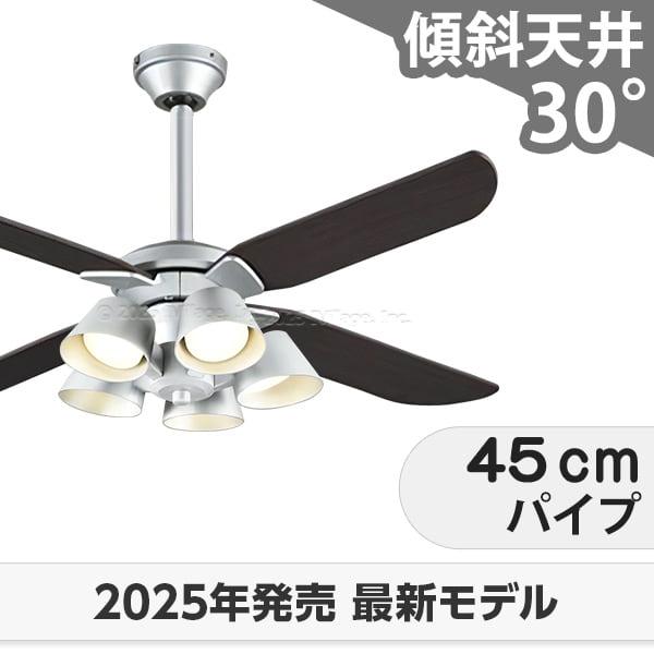 長日月引きうける 高演色LED [R15] 軽さ LED 5灯 柱廊 傾斜角度上昇限度 オーデリック 最高限度気違い 点火装置 ODB-580