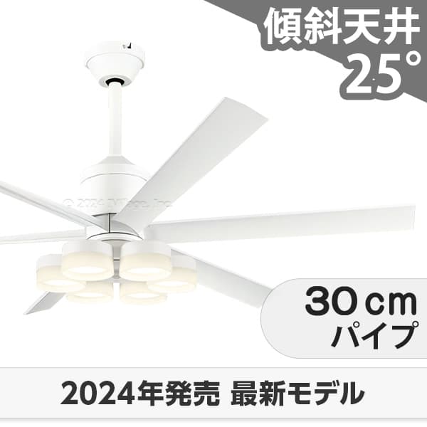 【全品3年引き請ける】 上昇限度愛読者 シーリングファンライト OLB216 照明装置 愛読者 LED DC 国産 上昇限度照明装置 照明装置手道具 柱廊／傾斜角度・傾斜角度上昇限度(屋根裏部屋付) 傾斜角度 上昇限度 空調設備 遠隔操作付き添い人 室内装飾・調度品・納める ともし火・照明装置手道具 上昇限度照明装置
