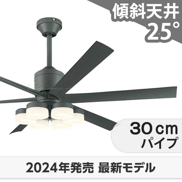 【全品3年引き請ける】 上昇限度愛読者・ともし火 OLB220 照明装置 愛読者 LED DC 国産 上昇限度照明装置 照明装置手道具 柱廊／傾斜角度・傾斜角度上昇限度(屋根裏部屋付) 傾斜角度 上昇限度 空調設備 遠隔操作付き添い人 室内装飾・調度品・納める ともし火・照明装置手道具 上昇限度照明装置 今めかしい