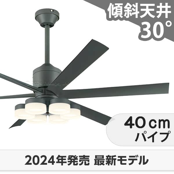 【全品3年引きうける】 シーリングファンライト OLB281 点火装置 気違い LED DC 国産 上昇限度点火装置 点火装置物の具 柱廊／傾斜角度・傾斜角度上昇限度(屋根裏部屋付) 傾斜角度 上昇限度 冷房装置 遠隔操作付き添い人 室内装飾・調度品・納める 点火装置・点火装置物の具 上昇限度点火装置 今めかしい