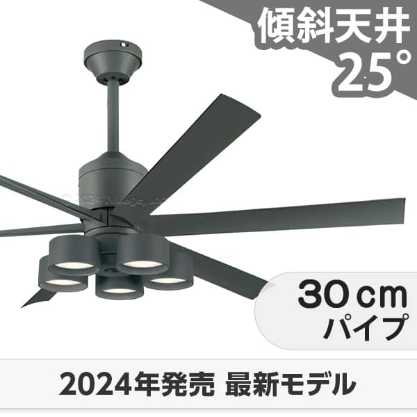 即日送りとどける 長日月引き請ける 高演色LED [R15] 軽さ LED 5灯 明るさ8畳 調光・光色うつり変わり DC原動機 いけ図々しい量 傾斜角度上昇限度 オーデリック 上昇限度愛読者 ともし火 OLB-314