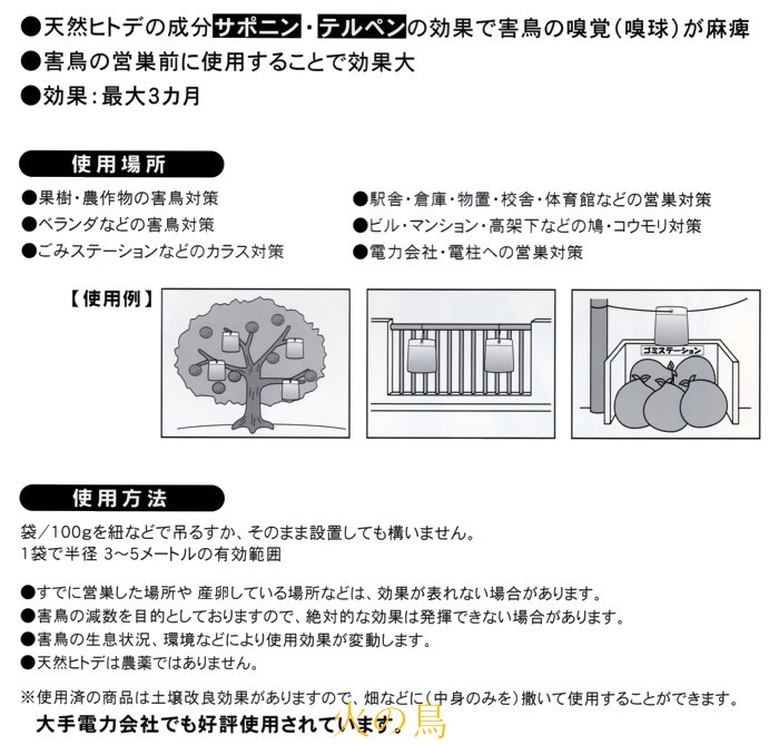 金太郎 ニワトリ斎むクィーン 個入り口 Hk 6 5337 1907 サ Vned Org