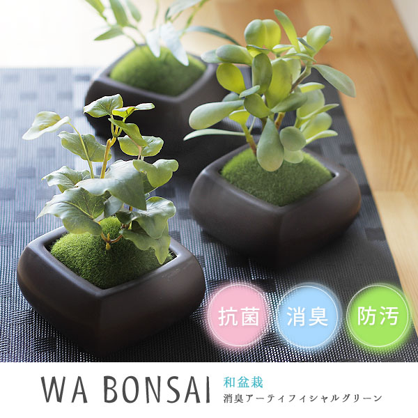 楽天市場 Wa Bonsai 和盆栽 消臭アーティフィシャルグリーン 角鉢タイプ キシマ 消臭グッズ 空気清浄 造花 デオドラント 観葉植物 エフシーインテリア