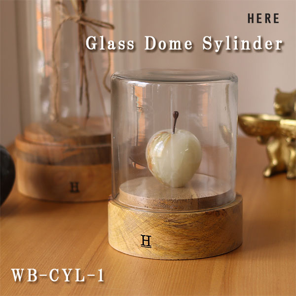 楽天市場】ガラスドーム シリンダー2【ディスプレイケース ガラス