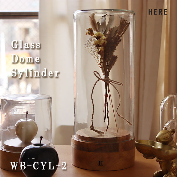 楽天市場】【ポイント10倍】ガラスドーム シリンダー4【ディスプレイ