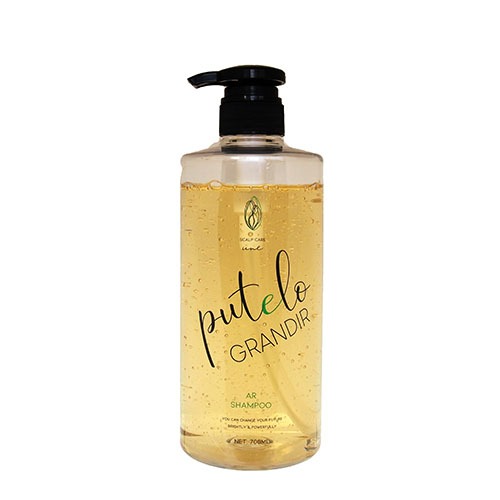 【アウトレット大特価！！】【送料込み】プテロ AR シャンプー グランディール 700mL 本体 【putelo】【ジェイプロジェクト】【J.PROJECT】