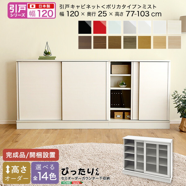 送料無料 【引戸シリーズ】セミオーダーカウンター下収納ぴったりくん キャビネット(ポリカタイプ ミスト) 幅120cm×奥行25cm【so】