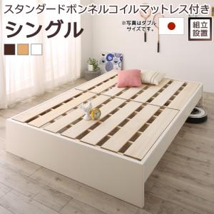 好いたらしいに楽しむこたつ生命現象特集