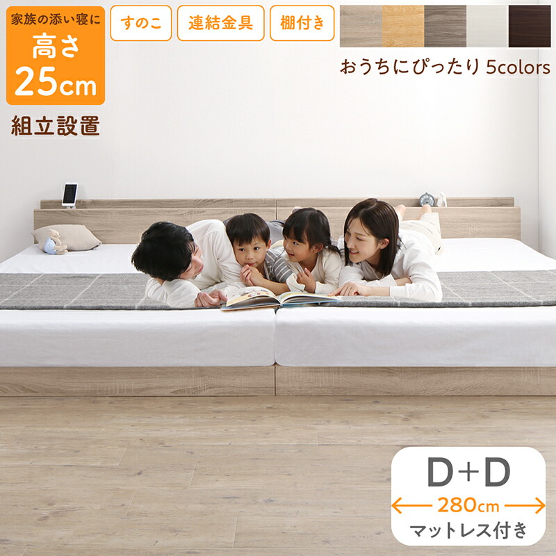 好いたらしいに楽しむこたつ生命現象特集