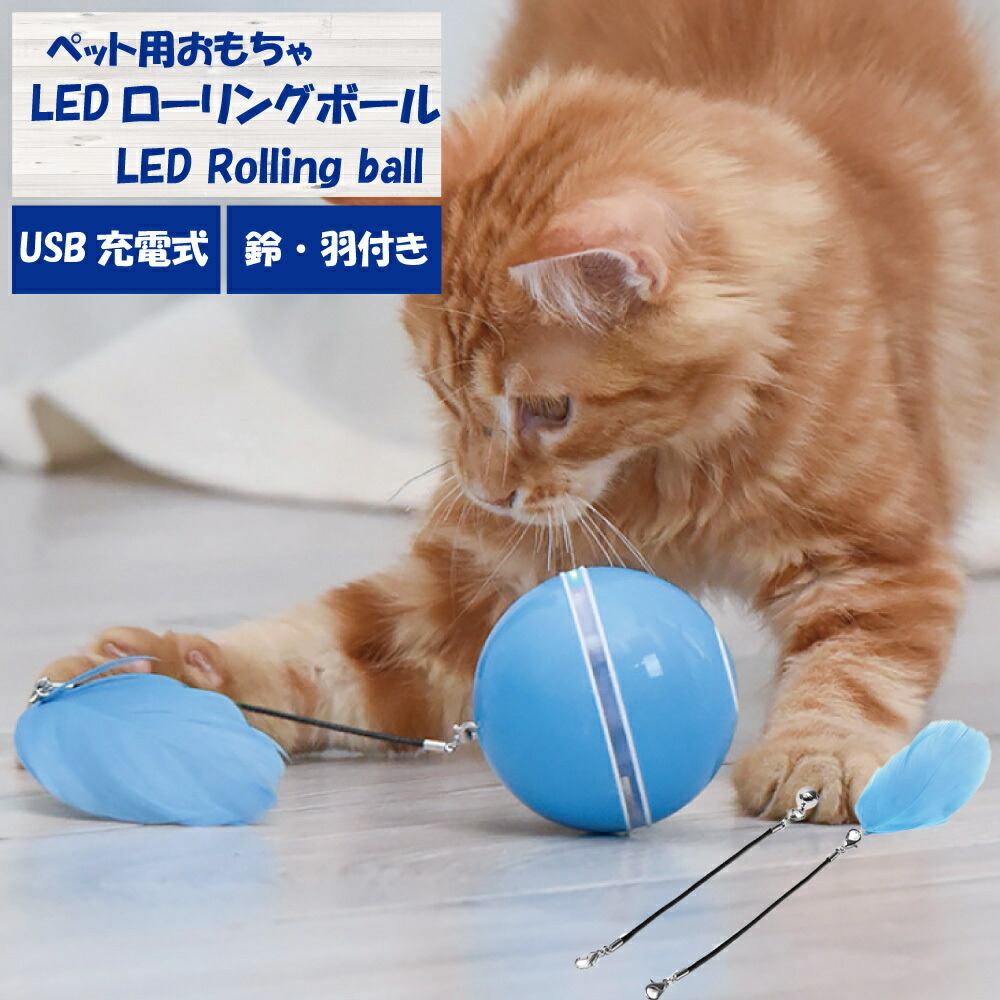 楽天市場】猫おもちゃ 犬おもちゃ 猫ボール 猫じゃらし 電動 LED 光るボール 自動回転 USB ストレス解消 運動不足予防 充電式ノーマルタイプ  レターパック発送 : FEATHER STOA