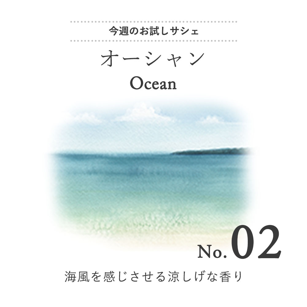 楽天市場 お試し 100円 サシェ 袋 芳香剤 部屋 トイレ 車 おしゃれ 玄関 かえ ルームフレグランス 長持ち 詰め替え 花 アロマ 置くだけ フック クローゼット 衣類 匂い袋 香り袋 スーツケース Pb 香りで彩るくらし Feellife