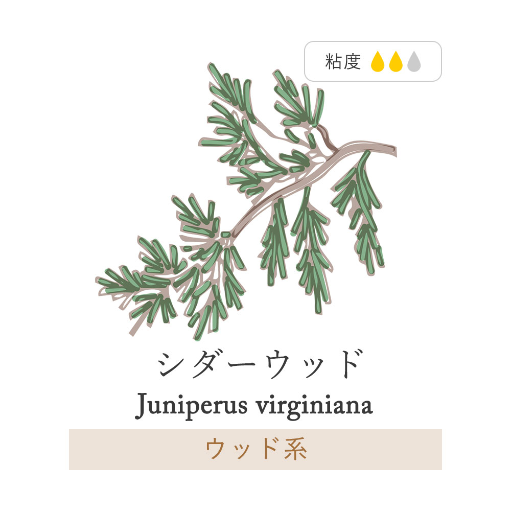 楽天市場 10ml シダーウッド シダーウッドヴァージニア アロマオイル 精油 セット アロマディフューザー アロマ エッセンシャルオイル 使い方 おすすめ ディフューザー 人気 作り方 部屋 Pb 香りで彩るくらし Feellife