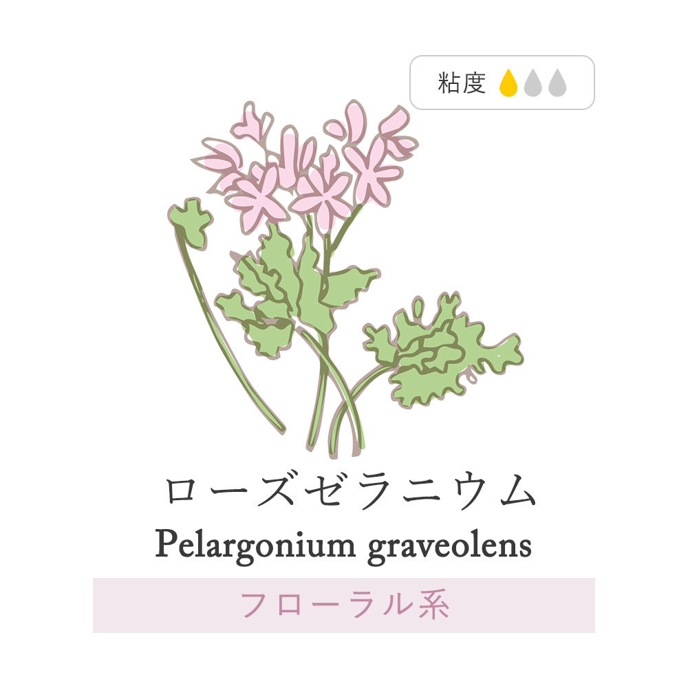 楽天市場 単品 10ml ローズゼラニウム 精油 アロマオイル 加湿器 精油 収納 昼用夜用 ブレンド アロマ アロマディフューザー アロマ加湿器 アロマキャンドル アロマストーン おしゃれ アロマランプ Pb 香りで彩るくらし Feellife