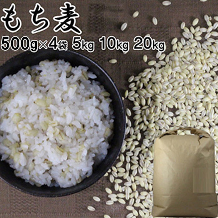 楽天市場】愛媛県産_無農薬 はだか麦_5kg【お徳用】もち麦同様
