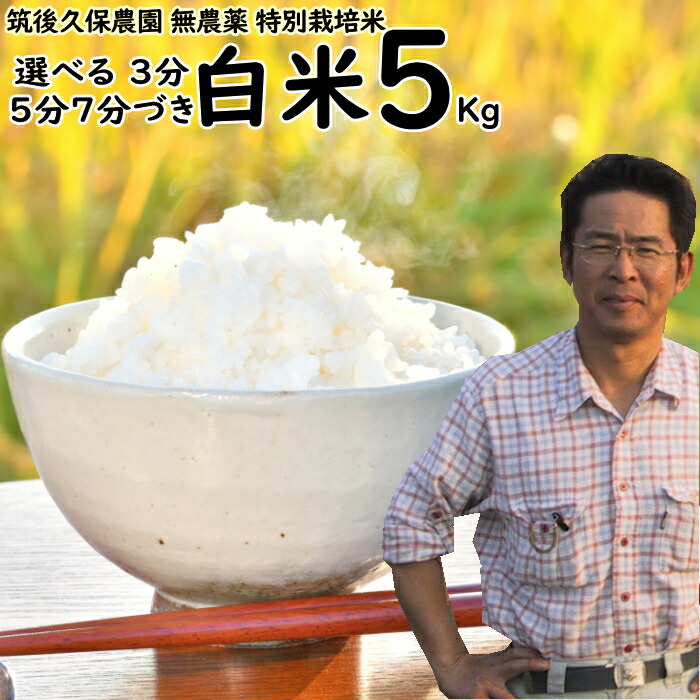 無農薬 特別栽培米 10Kg 栽培中 無肥料 筑後久保農園 令和6年度
