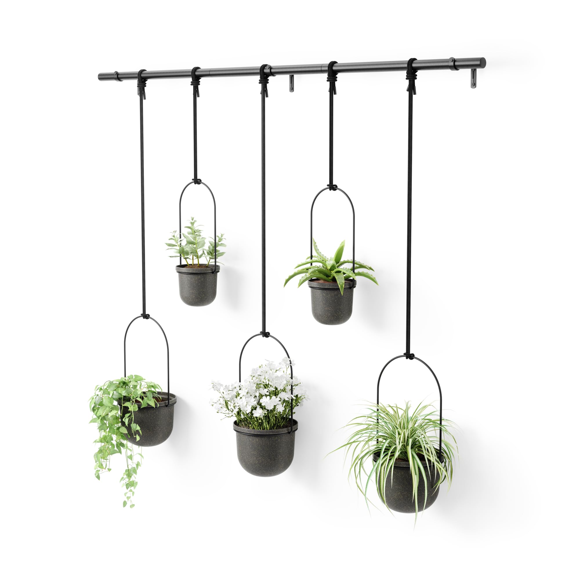 umbra プランター 鉢 植木鉢 ハンギング鉢植え TRIFLORA｜felicitastore