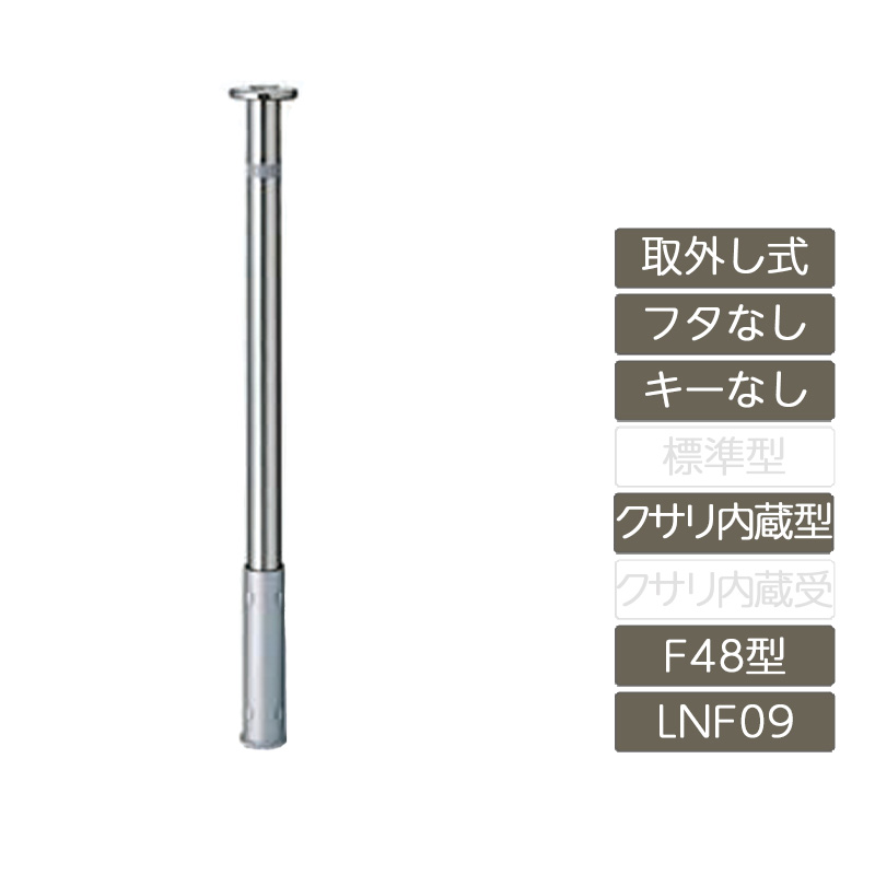 ノーガード戦法 feliju_lx11sgp0047.jpg