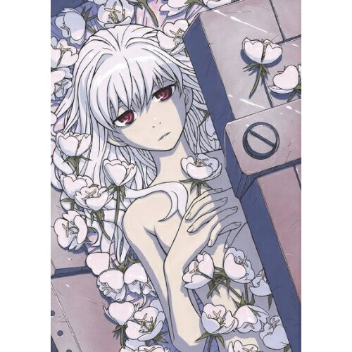 DVD / TVアニメ / DARKER THAN BLACK -流星の双子- 4 / ANSB-9484