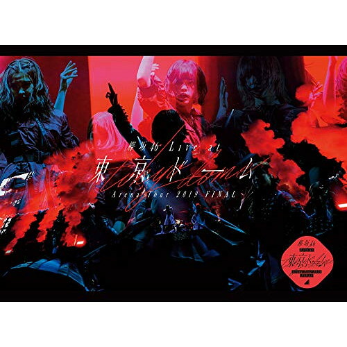 DVD / 欅坂46 / 欅坂46 LIVE at 東京ドーム ~ARENA TOUR 2019 FINAL~ (本編ディスク+特典ディスク) (初回生産限定盤) / SRBL-1896