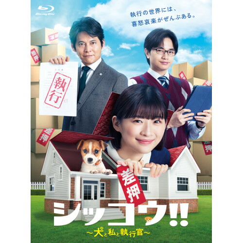 BD / 国内TVドラマ / シッコウ!!～犬と私と執行官～ Blu-ray BOX(Blu-ray) / VPXX-75179